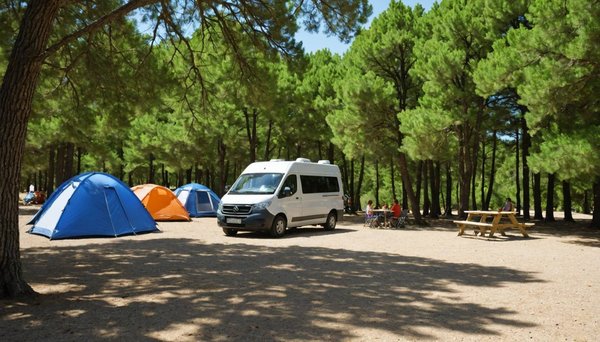 Camping en ardèche du sud : séjour nature et détente au camping mazet plage