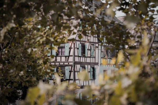 Quels sont les hébergements les plus adaptés pour un séjour en famille en Alsace ?