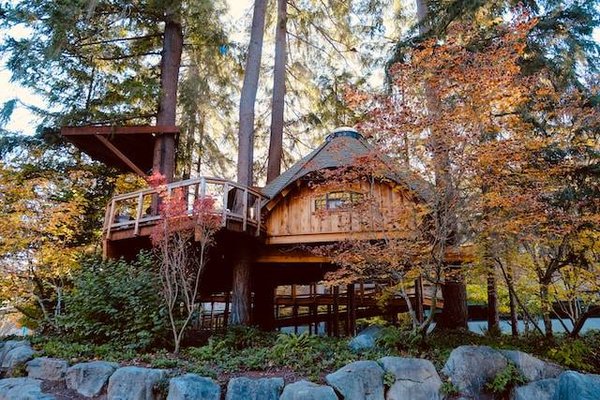 Louez votre cabane dans les arbres !